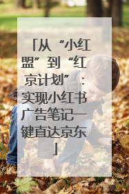从“小红盟”到“红京计划”：实现小红书广告笔记一键直达京东