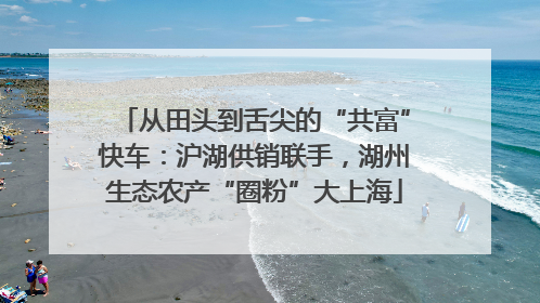 从田头到舌尖的“共富”快车：沪湖供销联手，湖州生态农产“圈粉”大上海