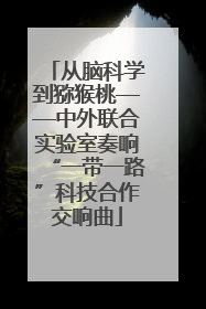 从脑科学到猕猴桃——中外联合实验室奏响“一带一路”科技合作交响曲