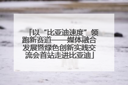 以“比亚迪速度”领跑新赛道——媒体融合发展暨绿色创新实践交流会首站走进比亚迪