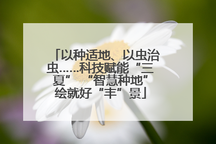 以种适地、以虫治虫……科技赋能“三夏” “智慧种地”绘就好“丰”景