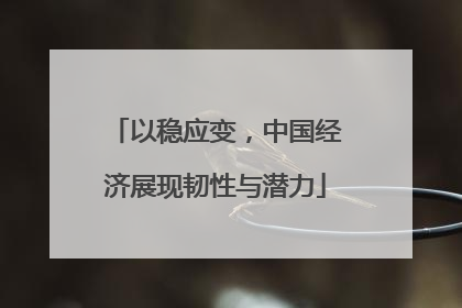 以稳应变，中国经济展现韧性与潜力
