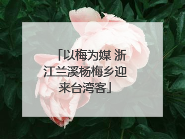 以梅为媒 浙江兰溪杨梅乡迎来台湾客