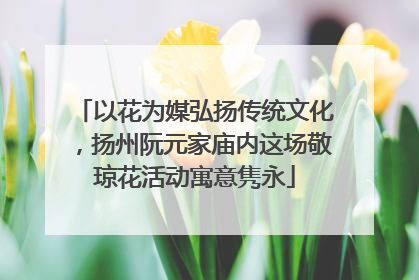 以花为媒弘扬传统文化，扬州阮元家庙内这场敬琼花活动寓意隽永