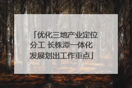 优化三地产业定位分工 长株潭一体化发展划出工作重点