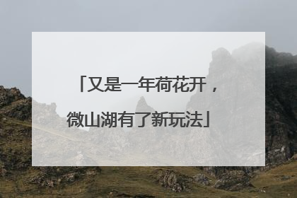 又是一年荷花开，微山湖有了新玩法