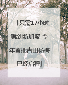 只需17小时就到新加坡 今年首批青田杨梅已经启程