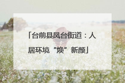 台前县凤台街道：人居环境“焕”新颜