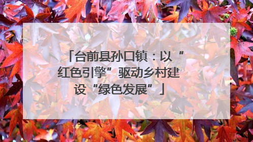 台前县孙口镇：以“红色引擎”驱动乡村建设“绿色发展”