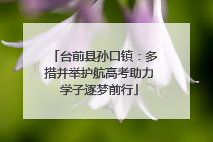 台前县孙口镇：多措并举护航高考助力学子逐梦前行