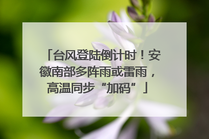 台风登陆倒计时！安徽南部多阵雨或雷雨，高温同步“加码”