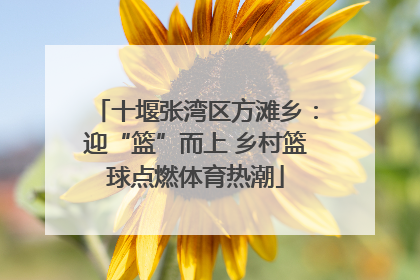 十堰张湾区方滩乡：迎“篮”而上 乡村篮球点燃体育热潮