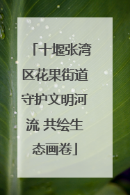 十堰张湾区花果街道守护文明河流 共绘生态画卷