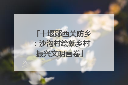 十堰郧西关防乡：沙沟村绘就乡村振兴文明画卷
