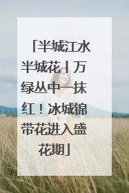 半城江水半城花丨万绿丛中一抹红！冰城锦带花进入盛花期