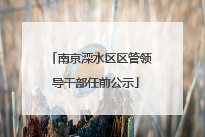 南京溧水区区管领导干部任前公示