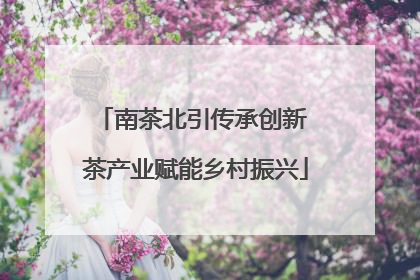 南茶北引传承创新 茶产业赋能乡村振兴