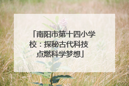 南阳市第十四小学校：探秘古代科技 点燃科学梦想