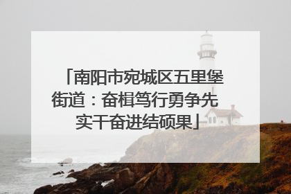 南阳市宛城区五里堡街道：奋楫笃行勇争先 实干奋进结硕果