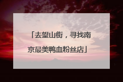 去望山街，寻找南京最美鸭血粉丝店