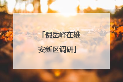 倪岳峰在雄安新区调研