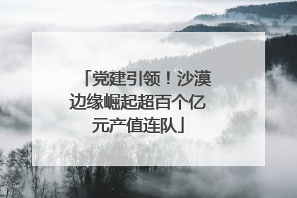 党建引领！沙漠边缘崛起超百个亿元产值连队