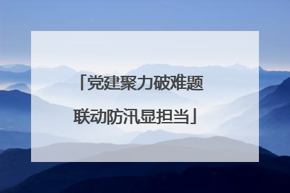 党建聚力破难题 联动防汛显担当