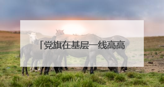 党旗在基层一线高高飘扬丨一个支部团结127个姓氏 扶贫搬迁村实现振兴嬗变