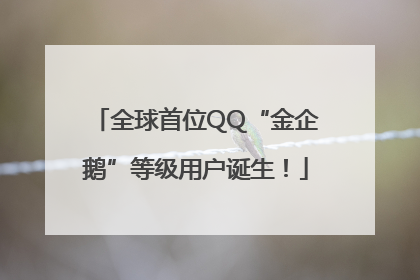 全球首位QQ“金企鹅”等级用户诞生！