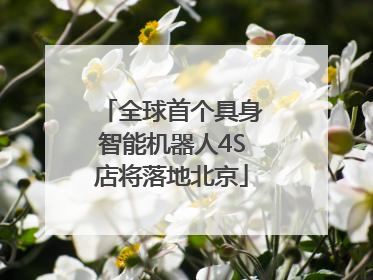 全球首个具身智能机器人4S店将落地北京