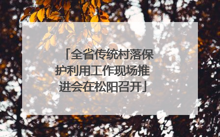 全省传统村落保护利用工作现场推进会在松阳召开