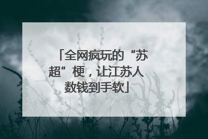 全网疯玩的“苏超”梗，让江苏人数钱到手软