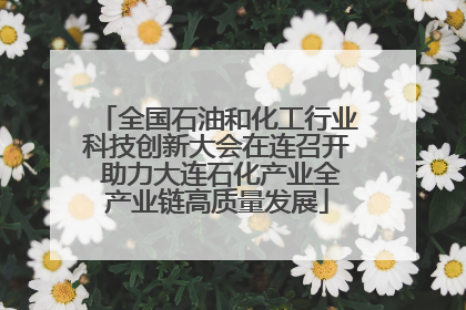 全国石油和化工行业科技创新大会在连召开 助力大连石化产业全产业链高质量发展