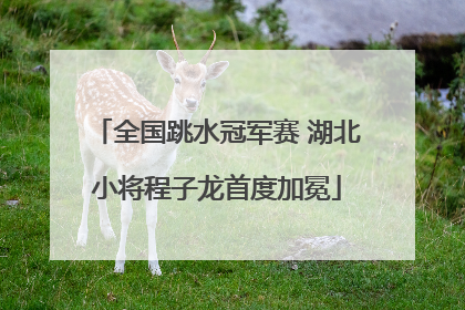 全国跳水冠军赛 湖北小将程子龙首度加冕