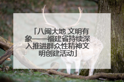八闽大地 文明有象——福建省持续深入推进群众性精神文明创建活动