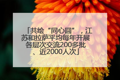 共绘“同心圆”，江苏和拉萨平均每年开展各层次交流200多批、近2000人次