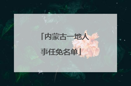 内蒙古一地人事任免名单
