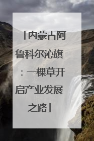 内蒙古阿鲁科尔沁旗：一棵草开启产业发展之路