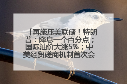 再施压美联储！特朗普：降息一个百分点；国际油价大涨5%；中美经贸磋商机制首次会议在英国伦敦举行；6499元起，华为发布新款手机丨每经早参
