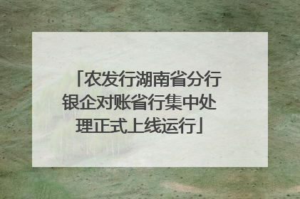 农发行湖南省分行银企对账省行集中处理正式上线运行