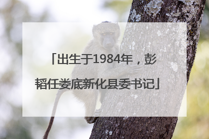 出生于1984年，彭韬任娄底新化县委书记