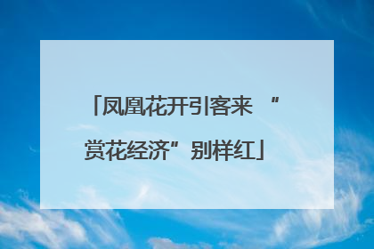 凤凰花开引客来 “赏花经济”别样红