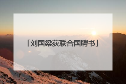 刘国梁获联合国聘书