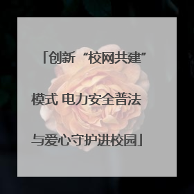 创新“校网共建”模式 电力安全普法与爱心守护进校园