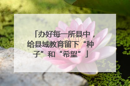 办好每一所县中，给县域教育留下“种子”和“希望”