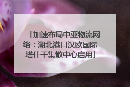 加速布局中亚物流网络：湖北港口汉欧国际塔什干集散中心启用