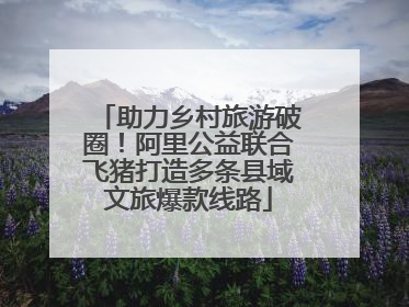助力乡村旅游破圈！阿里公益联合飞猪打造多条县域文旅爆款线路
