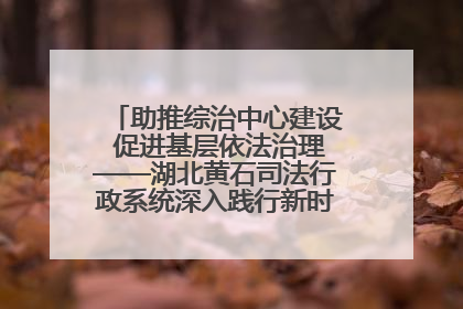 助推综治中心建设 促进基层依法治理——湖北黄石司法行政系统深入践行新时代枫桥经验