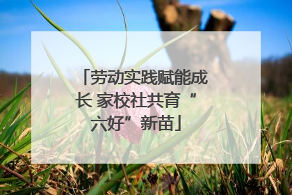 劳动实践赋能成长 家校社共育“六好”新苗