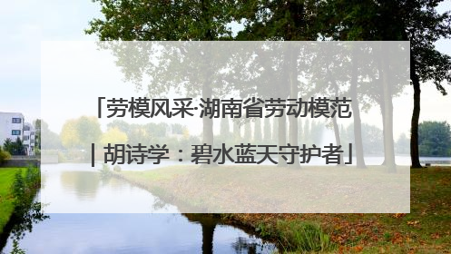 劳模风采·湖南省劳动模范｜胡诗学：碧水蓝天守护者